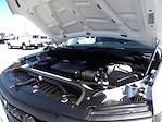 Used 2024 Chevrolet Silverado 1500 Work Truck Regular Cab for sale #R-32079 - photo 38