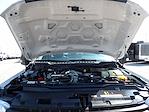 Used 2025 Ford F-250 Regular Cab for sale #R-32111 - photo 37