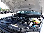 Used 2025 Ford F-250 Regular Cab for sale #R-32111 - photo 38