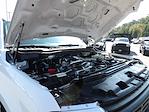 Used 2025 Ford F-250 Regular Cab for sale #R-32114 - photo 36