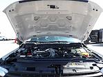 Used 2025 Ford F-250 Regular Cab for sale #R-32117 - photo 37