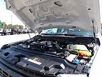 Used 2025 Ford F-250 Regular Cab for sale #R-32117 - photo 38