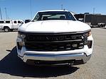 Used 2024 Chevrolet Silverado 1500 Work Truck Regular Cab for sale #R-32145 - photo 12