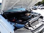 Used 2024 Chevrolet Silverado 1500 Work Truck Regular Cab for sale #R-32145 - photo 36