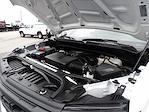 Used 2024 Chevrolet Silverado 1500 Work Truck Regular Cab for sale #R-32220 - photo 38