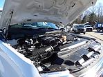 Used 2024 Ford F-250 Crew Cab for sale #R-32342 - photo 47
