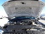 Used 2024 Ford F-250 Crew Cab for sale #R-32342 - photo 48