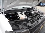Used 2023 Chevrolet Express 3500 LS Passenger Van for sale #R-32380 - photo 40