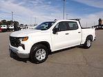 Used 2023 Chevrolet Silverado 1500 Work Truck Crew Cab for sale #R-32381 - photo 4
