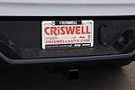 2025 Ram 1500 Crew Cab 4x4 Pickup for sale #G250278 - photo 8
