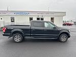 2015 Ford F-150 SuperCrew Cab 4WD Pickup for sale #F240221B - photo 6