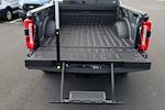 2024 Ford F-250 Crew Cab 4x4 Pickup for sale #F240513 - photo 10