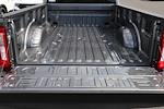 2025 Ford F-450 Crew Cab DRW 4x4 Pickup for sale #F250319 - photo 10