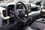 2025 Ford F-450 Crew Cab DRW 4x4 Pickup for sale #F250319 - photo 13
