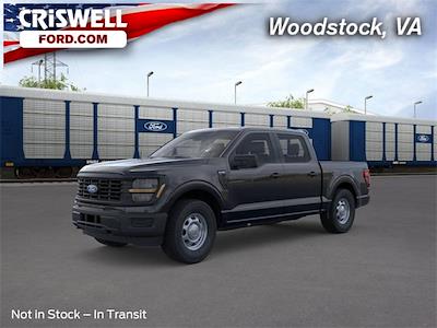 2025 Ford F-150 SuperCrew Cab 4x4 Pickup for sale #F250374 - photo 1