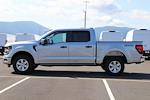2025 Ford F-150 SuperCrew Cab 4WD Pickup for sale #F250383 - photo 5