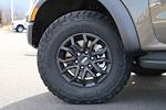 New 2025 Ford Ranger Raptor SuperCrew Cab for sale #F250595 - photo 4