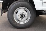 2026 Ford F-350 Regular Cab DRW 4WD Cab Chassis for sale #F260020 - photo 6