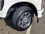 Used 2025 Ford F-250 Platinum Crew Cab for sale #160285A - photo 39