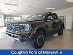 2025 Ford Ranger SuperCrew Cab 4x4 Pickup for sale #MF1001 - photo 1