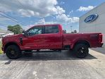 2025 Ford F-250 Crew Cab 4WD Pickup for sale #MF1029 - photo 5