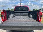 2025 Ford F-250 Crew Cab 4WD Pickup for sale #MF1029 - photo 9