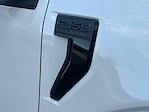 2025 Ford F-150 SuperCrew Cab 4WD Pickup for sale #MF1153 - photo 10