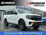 2025 Ford Expedition 4WD SUV for sale #MF1167 - photo 1