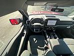 2025 Ford F-150 SuperCrew Cab 4WD Pickup for sale #MF1213 - photo 24