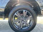 2023 Ford F-150 SuperCrew Cab 4WD Pickup for sale #MFP0051 - photo 14