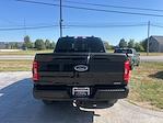 2023 Ford F-150 SuperCrew Cab 4WD Pickup for sale #MFP0051 - photo 8