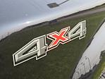 2025 Ford F-450 Regular Cab DRW 4x4 Pickup for sale #SED73316 - photo 10