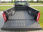2025 Ford F-450 Regular Cab DRW 4x4 Pickup for sale #SED73316 - photo 11