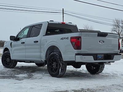 2025 Ford F-150 SuperCrew Cab 4x4 Pickup for sale #SKD32841 - photo 2