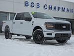 2025 Ford F-150 SuperCrew Cab 4x4 Pickup for sale #SKD32841 - photo 3