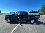 2011 Ford F-150 SuperCrew Cab 4x4 Pickup for sale #J1583CL - photo 8