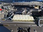 2024 Ford F-150 Regular Cab 4x4 Pickup for sale #P4615 - photo 24