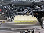 2023 Ford F-150 SuperCrew Cab 4x4 Pickup for sale #P4628 - photo 29