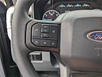 2024 Ford F-250 Regular Cab 4x4 Pickup for sale #TL1182 - photo 14