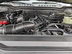 2024 Ford F-250 Regular Cab 4x4 Pickup for sale #TL1182 - photo 24