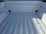 2025 Ford F-150 SuperCrew Cab 4x4 Pickup for sale #TM1123 - photo 23