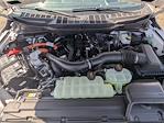 2025 Ford F-150 SuperCrew Cab 4x4 Pickup for sale #TM1161 - photo 37