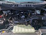 2025 Ford F-150 SuperCrew Cab 4x4 Pickup for sale #TM1181 - photo 33