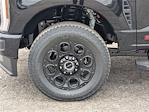 2025 Ford F-250 Crew Cab 4x4 Pickup for sale #TM1235 - photo 9