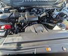 2017 Ford F-250 Regular Cab 4x4 Pickup for sale #TM1279A - photo 22