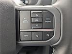 2025 Ford F-150 SuperCrew Cab 4x4 Pickup for sale #TM1281 - photo 16