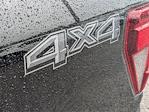 2025 Ford F-150 SuperCrew Cab 4x4 Pickup for sale #TM1281 - photo 27