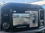 New 2025 Ford F-150 XLT SuperCrew Cab for sale #TM1334 - photo 18