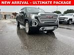 2019 GMC Sierra 1500 Crew Cab 4x4 Pickup for sale #113616A - photo 1