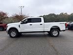 2019 Ford F-250 Crew Cab 4WD Pickup for sale #129945A - photo 8